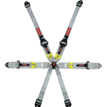 FIA Cam Lock Harness with Light Weight Adjusters 3″ Belt 2″ Shoulder Silver